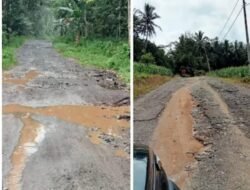 Jalan Marbau Mataram – Katibung Hancur ! Masyarakat Berharap Pemkab Lampung Selatan Bertindak