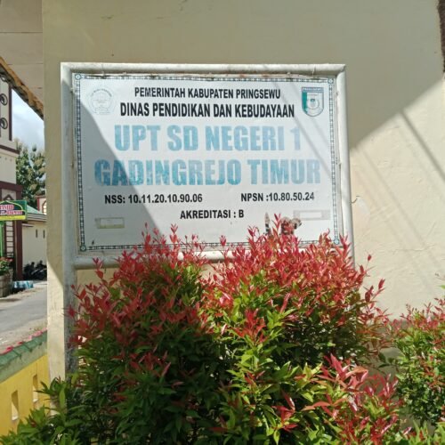 Adanya Dugaan Pungli Di SDN 1 Gading Rejo Timur Ketua Komite Berkilah Begini Katanya