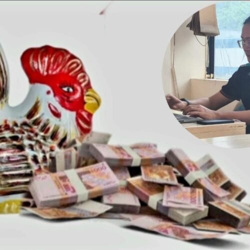 Ibarat Investasi Bodong, Tenaga Ahli Pemprov Lampung Sedot Miliaran APBD