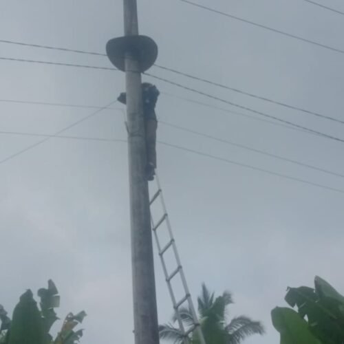 Kabel Wifi Sembrawut Di Tiang PLN Ternyata Ada Oknum Anggota DPRD Pesawaran Dibaliknya