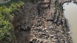 Proyek Tanggul Sungai Way Bulok Rp. 17 Milyar Baru Seumur Singkong Ambrol Diduga Kurangnya Kualitas Bangunan
