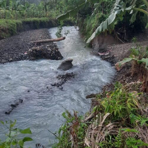 Dampak Bencana Banjir Aliran Sungai Tertutup Mengakibatkan Hektaran Sawah Terancam Tidak Bisa Digarap