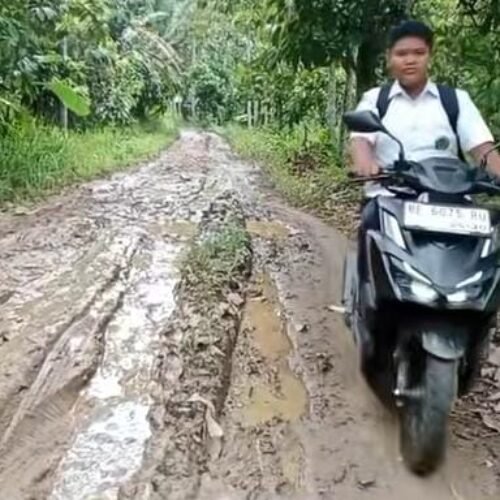 Belum Pernah Tersentuh Pembangunan Ketua JWI DPW Lampung  Minta Pemda Pesawaran Sentuh Jalan Ke Dusun Lubuk Tanoh Desa Kubu Batu