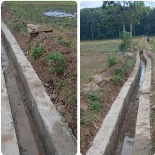 Petani Dua Desa Gembira, Bupati dan Wakil Bupati Pesawaran Rehabilitasi Saluran Irigasi Way Sukaraja