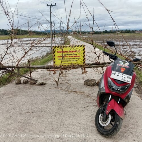 Proyek Jalan APBD Rp 396,5 juta di Way Khilau Belum Dilintasi Kendaraan Baru Seumur Toge Sudah Retak Dimana-Mana