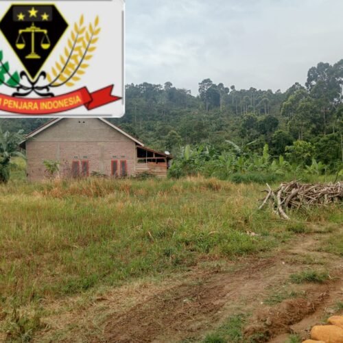 LSM PENJARA DPD Lampung Soroti Dugaan Pelanggar Aturan Pengusaha Kaplingan Buka Lahan Tanpa Izin di Kawasan LP2B