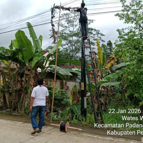 LSM PENJARA Indonesia DPD Lampung Terima Aduan Masyarakat Terkait Pemasangan Tiang dan Kabel WiFi Diduga Ilegal di Padang Cermin dan Way Ratai