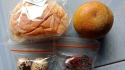 Wali Murid MIN 1 Pesawaran Keluhkan MBG Saung Biru Yang Diterima Anak Nya Diduga Tidak Sesuai