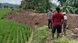 LSM Penjara Dampingi Warga Desa Mada Jaya Segera Laporkan Dugaan Pengrusakan  Penebangan Pohon Kelapa Tanpa Ijin Pada Kegiatan Normalisasi Sungai Ke APH