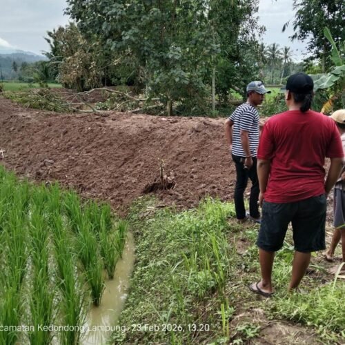 LSM Penjara Dampingi Warga Desa Mada Jaya Segera Laporkan Dugaan Pengrusakan  Penebangan Pohon Kelapa Tanpa Ijin Pada Kegiatan Normalisasi Sungai Ke APH