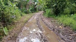 Warga Dusun Lubuk Tanoh Keluhkan Jalan Tak Pernah Tersentuh Pembangunan Sejak Zaman Kemerdekaan