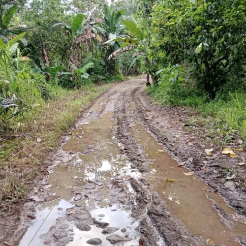Warga Dusun Lubuk Tanoh Keluhkan Jalan Tak Pernah Tersentuh Pembangunan Sejak Zaman Kemerdekaan