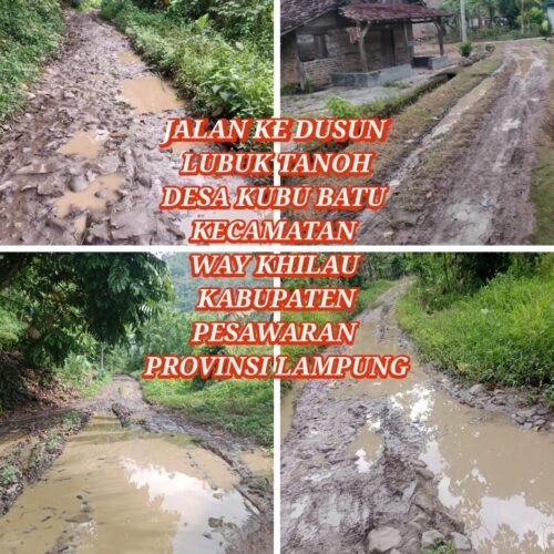 Warga Dusun Lubuk Tanoh Keluhkan Jalan Tak Pernah Tersentuh Pembangunan Sejak Zaman Kemerdekaan