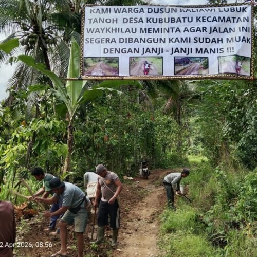 Warga Dusun Lubuk Tanoh Giat Gotong Royong Jalan Belum Pernah Tersentuh Pembangunan, Merasa Kecewa Janji-Jani Manis Pemerintah
