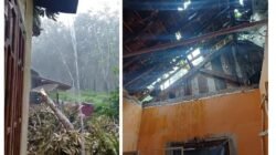 Pohon Tumbang Timpa Rumah Warga di Pesawaran, Kerugian Capai Puluhan Juta