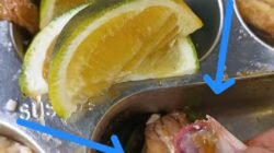SPPG Hanura Kec. Teluk Pandan Jadi Sorotan, Diduga Sajikan Menu MBG Ayam Belum Matang dan Masih Berdarah