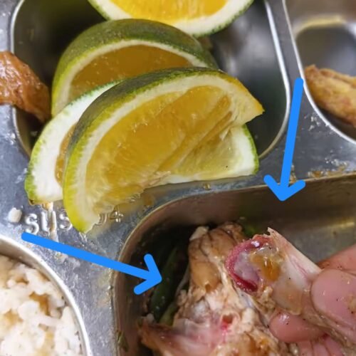 SPPG Hanura Kec. Teluk Pandan Jadi Sorotan, Diduga Sajikan Menu MBG Ayam Belum Matang dan Masih Berdarah