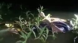 Warga Tiyuh Karta Digegerkan Penemuan Mayat Pria Tanpa Identitas di Lebung Bunian