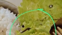 Temuan Cacing Pada Menu MBG di SMAN 1 Padang Cermin, Tim Media Terima Laporan Warga