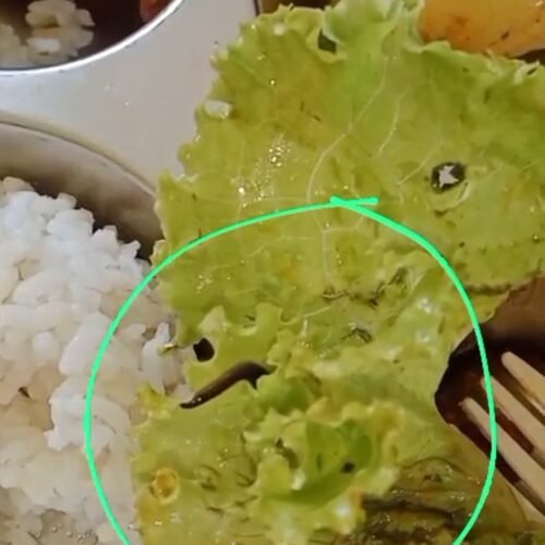 Temuan Cacing Pada Menu MBG di SMAN 1 Padang Cermin, Tim Media Terima Laporan Warga