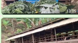 BUMDes Bakti Mulia Desa Penyandingan Siap Sejahterakan Masyarakat serta jadi salah satu PAD Desa