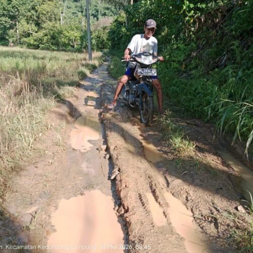 “Di Antara Debu dan Harapan, Warga Dusun Lubuk Tanoh Desa Kubu Batu Menanti Sentuhan Pembangunan Dari Pemerintah”