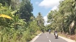 Ratusan Milyar Dana Perawatan Jalan Provinsi Disorot, Drainase dan Rumput di Pesawaran Disebut Seperti Hutan