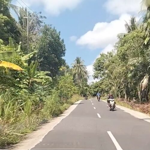 Ratusan Milyar Dana Perawatan Jalan Provinsi Disorot, Drainase dan Rumput di Pesawaran Disebut Seperti Hutan