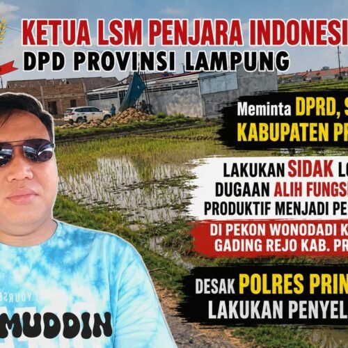 Mahmuddin Ketua LSM Penjara Indonesia DPD Lampung Meminta DPRD, Satpol PP Pringsewu Sidak Lokasi Dugaan Alih Fungsi Sawah Produktif di Pekon Wonodadi Dan Desak Polres Lakukan Penyelidikan