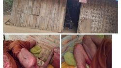 JWI DPW Lampung Minta Pemerintah Segera Tindak Lanjuti Informasi Warga Kurang Mampu yang Diduga Bertahun-tahun Menderita Penyakit Kulit Hingga Melepuh