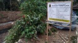 Masyarakat Way Khilau Soroti Pekerjaan Bronjong Rehabilitasi Jembatan di Desa Kota Jawa, Way Khilau Diduga Gunakan Batu Asal Asalan  