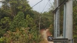 DUGAAN PENAMBANGAN ILEGAL DI KAWASAN HUTAN BABAKAN LOA PESAWARAN DISOROT, LSM PENJARA INDONESIA MINTA LAKUKAN PENYELIDIKAN POLDA LAMPUNG