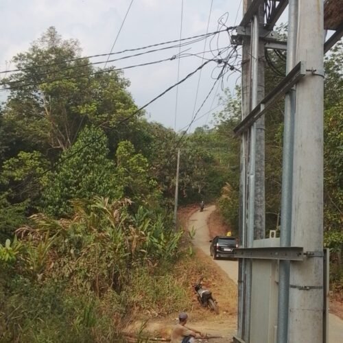 DUGAAN PENAMBANGAN ILEGAL DI KAWASAN HUTAN BABAKAN LOA PESAWARAN DISOROT, LSM PENJARA INDONESIA MINTA LAKUKAN PENYELIDIKAN POLDA LAMPUNG