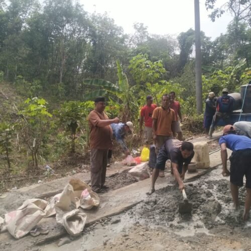 Swadaya Cor Jalan Rusak, Kakam dan Warga Ojolali Berharap Uluran Tangan Pemerintah