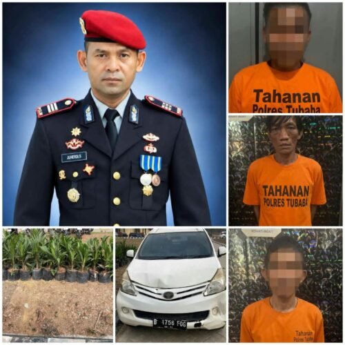 Unit Reaksi Cepat Sat Reskrim Polres Tulang Bawang Barat Ungkap Pencurian 100 Bibit Sawit, Tiga Pelaku Diamankan