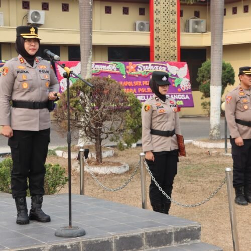 Polres Ogan Ilir Gelar Sertijab Kasat Resnarkoba dan Kapolsek Pemulutan, Kapolres Tekankan Profesionalisme dalam Bertugas