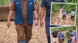 Aceh Timur Garang – Kadis Perkebunan dan Peternakan Murdhani Turun Langsung Perbaiki Jalan Rusak di Tualang Birem Bayeun
