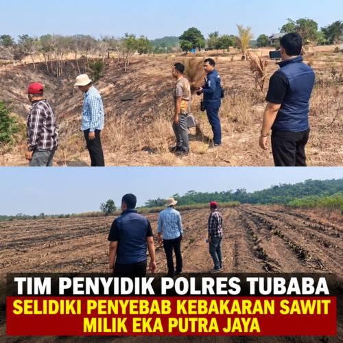Penyelidikan Dimulai, Polres Tubaba Turun ke Lokasi Kebakaran Kebun Sawit Eka Putra Jaya