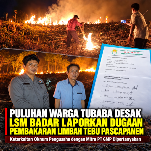 Puluhan Warga Tubaba Desak LSM BADAR Laporkan Dugaan Pembakaran Limbah Tebu Pascapanen, Keterkaitan Oknum Pengusaha dengan Mitra PT GMP