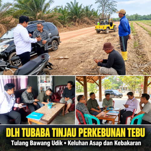 DLH Tubaba Tinjau Perkebunan Tebu di Tulang Bawang Udik Menyusul Keluhan Warga soal Asap dan Kebakaran