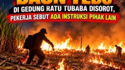 Dugaan Pembakaran Kebun Tebu Pascapanen Terungkap, Nama Oknum Mitra dan Karyawan GMP Disebut